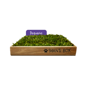 Shanti Box Pequeña 60x50 cms 