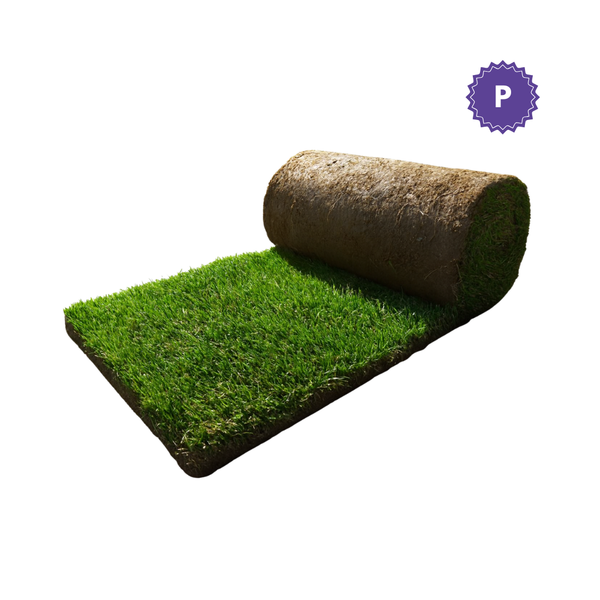 Reemplazo de Grama- Box Pequeña (60X50 cm)