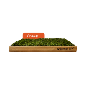 Shanti Box Grande 100x 50 cms