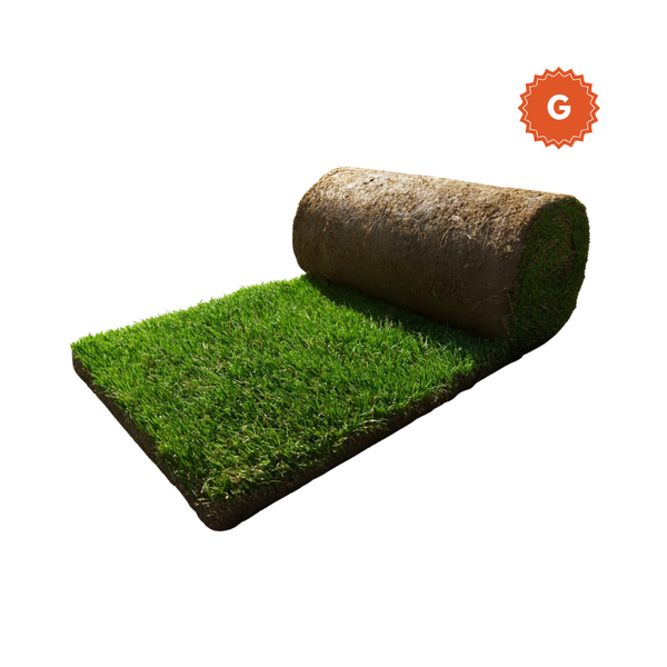 Reemplazo de Grama- Box Grande (100X50 cm)