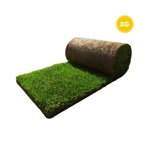 Reemplazo de grama para Shanti Box Extra Grande 150 x 70 cm