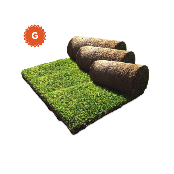 Plan de Reemplazos de Grama - Box Grande (100X50 cm)