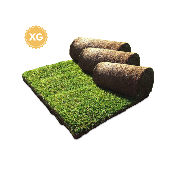Plan de Reemplazos de Grama-Box Extra Grande (150X70 cm)