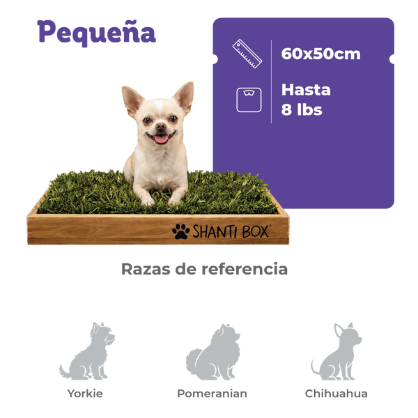 Shanti Box Pequeña (60x50 cm)