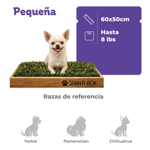 Shanti Box Pequeña (60x50 cm)