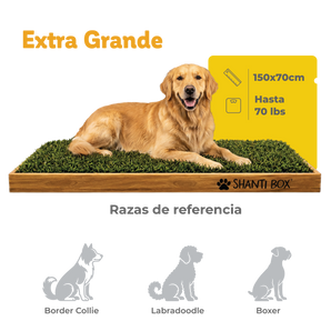 Shanti Box Extra Grande (150 x 70 cm)