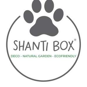 shanti 123